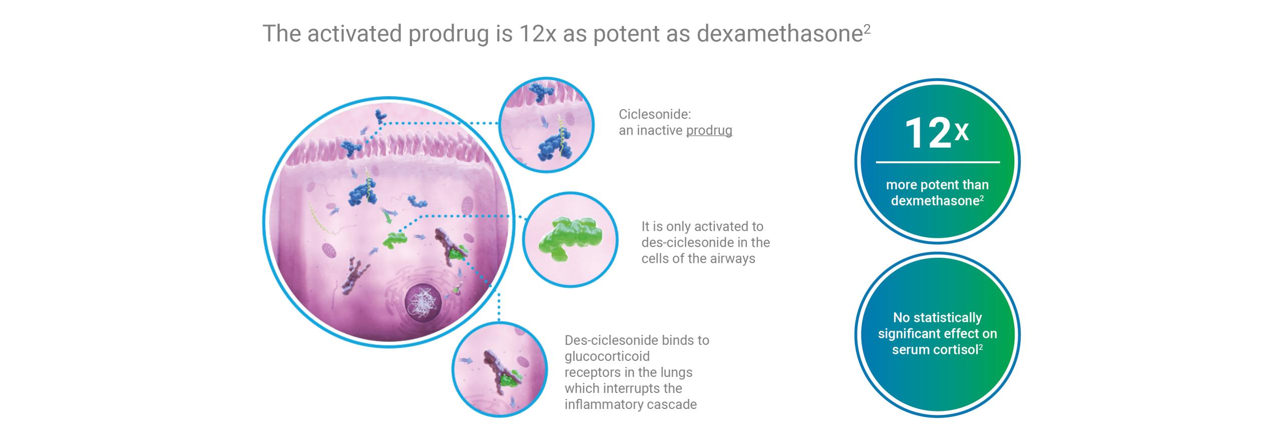 Ciclesonide