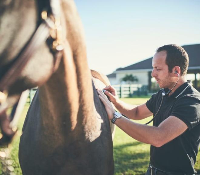  Designed for horses and the people who care for them